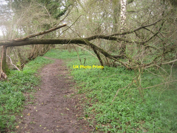 Photo 6"x4" Mind your head East Oakley c2014