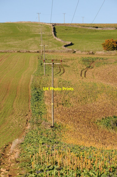 Photo 6"x4" Footpath and electricity poles Nailsworth c2013