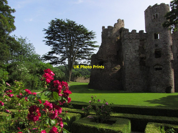 Photo 6"x4" At Laugharne Castle - Grounds Laugharne c2013