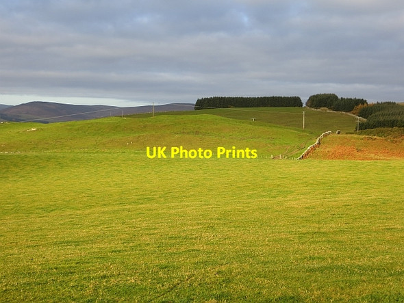 Photo 6"x4" The Drove Road Selkirk c2013