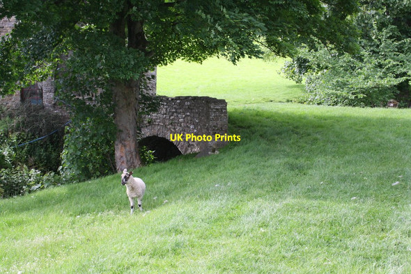 Photo 6"x4" Bow Bridge and a lamb Grange\/SD9391 c2013