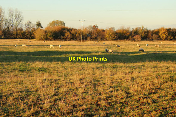 Photo 6"x4" Site of Buslingthorpe village Buslingthorpe c2013