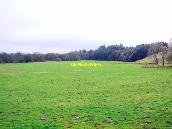 Photo 6"x4" Fields along Tarset Burn Greenhaugh\/NY7987 c2013