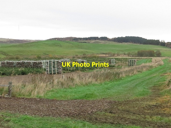 Photo 6"x4" Drove road Hartwoodburn c2013