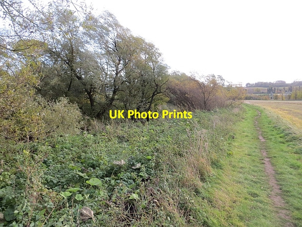 Photo 6"x4" Riverside path, East Linton East Linton c2013