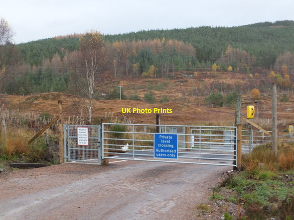 Photo 6"x4" Level crossing to south east of Corriemoillie Gorstan c2013