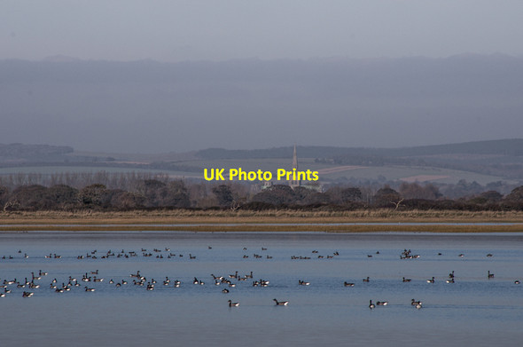 Photo 6"x4" Pagham Harbour Church Norton c2013