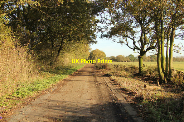 Photo 6"x4" Old Wigsley Road Wigsley c2013