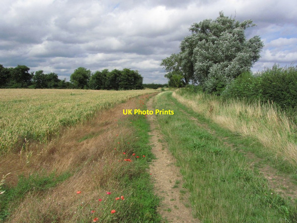 Photo 6"x4" Field path with poppies off Station Rd, Barnack Bainton\/TF0906 c2013