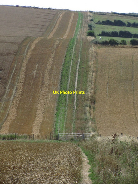 Photo 6"x4" Undulating path, SE of Denton, Newhaven Newhaven\/TQ4401 c2013
