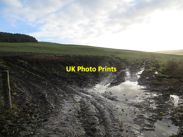 Photo 6"x4" Track to Deepslaids Selkirk c2013