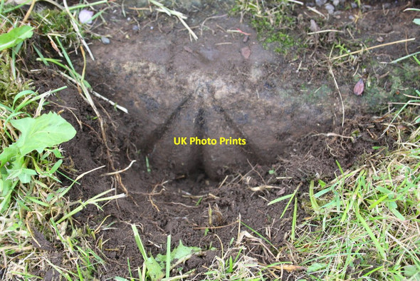 Photo 6"x4" Benchmark on stone at base of house wall at Breconbar Bainbridge c2013