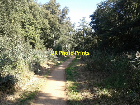 Photo 6"x4" Filby boardwalk Filby c2013