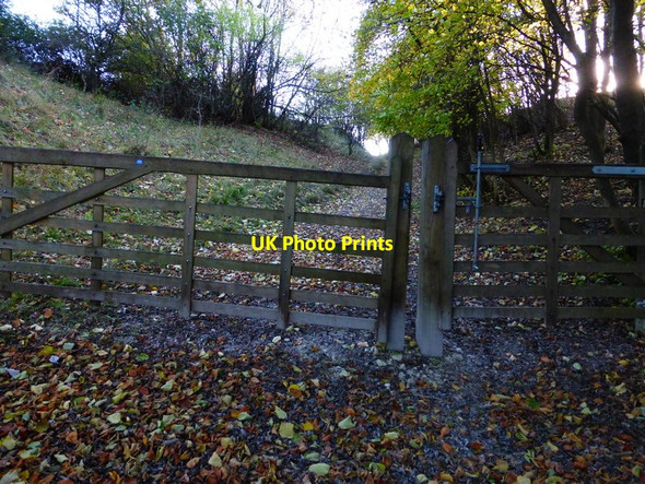 Photo 6"x4" Gate on bridleway ascending to the South Downs Way East Harting c2013