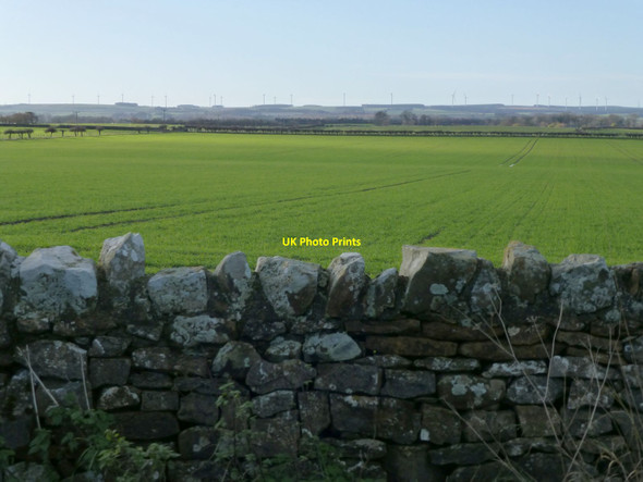 Photo 6"x4" Arable land near Swinhoe Swinhoe c2013