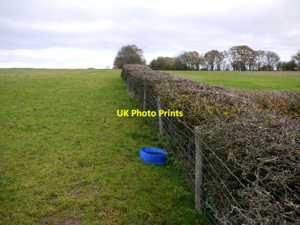 Photo 6"x4" Hedge and pasture land Gilfach\/SO3434 c2013