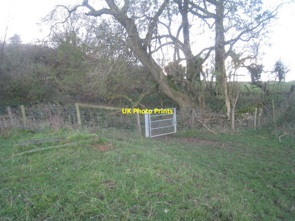 Photo 6"x4" Gate into Long Plantation Kersoe c2013