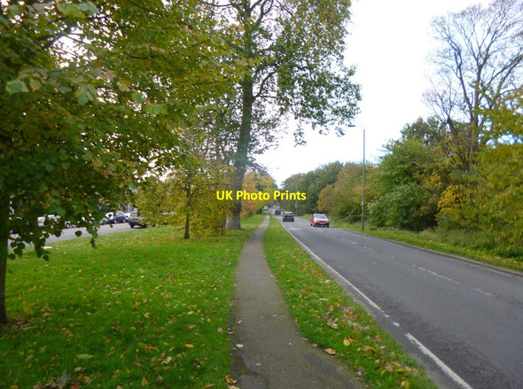 Photo 6"x4" Furzedown Road Streatham c2013