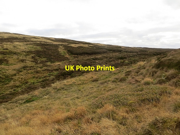 Photo 6"x4" Peat bog, The Wiss Bowerhope c2013