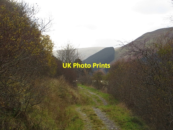 Photo 6"x4" Path, St Mary's Loch Bowerhope c2013