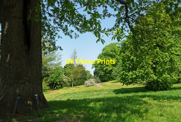 Photo 6"x4" Brandon Hill, Bristol (2) Hotwells c2012