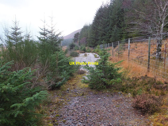 Photo 6"x4" Old A832 River Bran\/NH2160 c2013