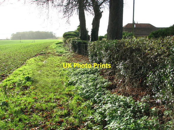 Photo 6"x4" Footpath to the A146 road, Kirby Bedon Kirby Bedon c2013