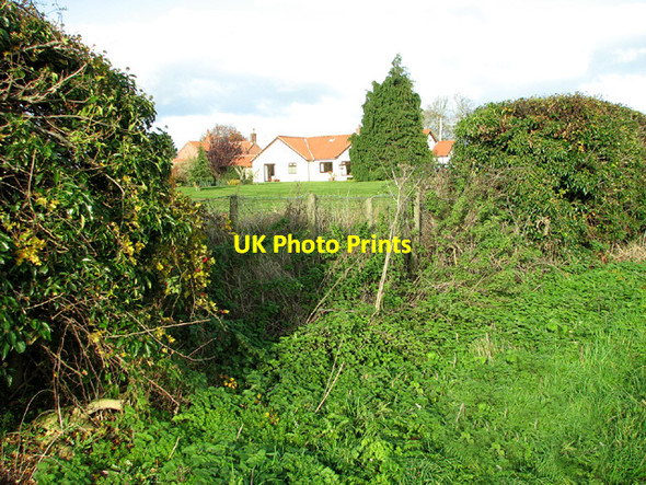 Photo 6"x4" Houses south of Kirby Road, Kirby Bedon Kirby Bedon c2013