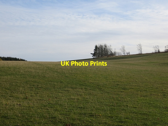 Photo 6"x4" Field near Greenside Moss Chesterknowes c2013