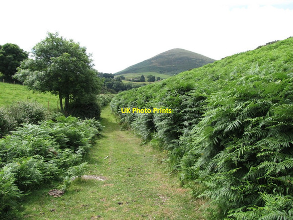 Photo 6"x4" Flat ground at last - the hill path reaching towards Milltown Lane Greencastle\/J2411 c2013