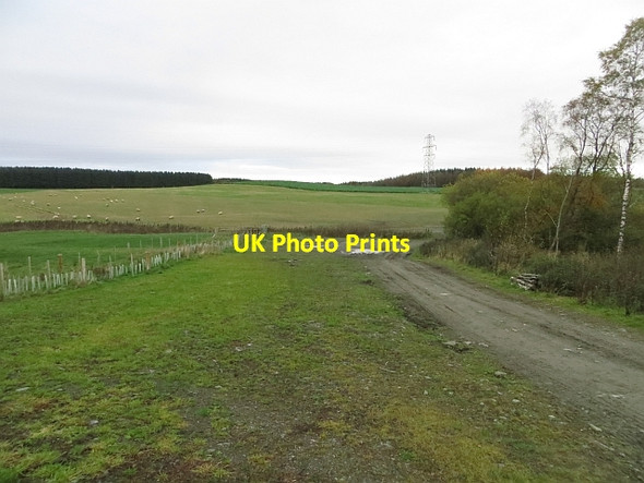 Photo 6"x4" Road, Riddellshiel Moss Clerklands c2013