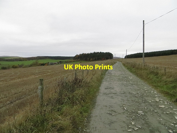 Photo 6"x4" Road by Common Burn Selkirk c2013
