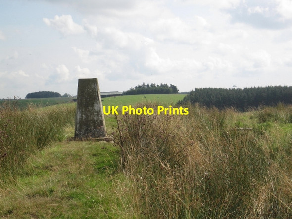 Photo 6"x4" Trig Point Rubingstob Hill Birtley\/NY8778 c2011