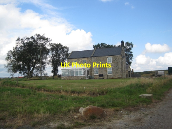 Photo 6"x4" Bog Shield Birtley\/NY8778 c2011