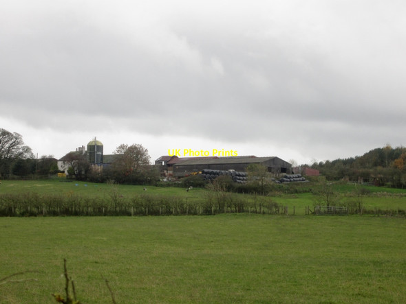 Photo 6"x4" Looking across grassland towards Fox House Farm Broughton Moor\/NY0533 c2013