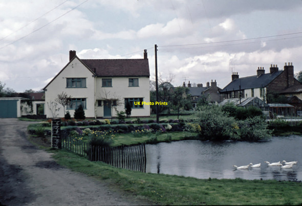 Photo 6"x4" Wolviston pond in April 1959 Billingham c1959