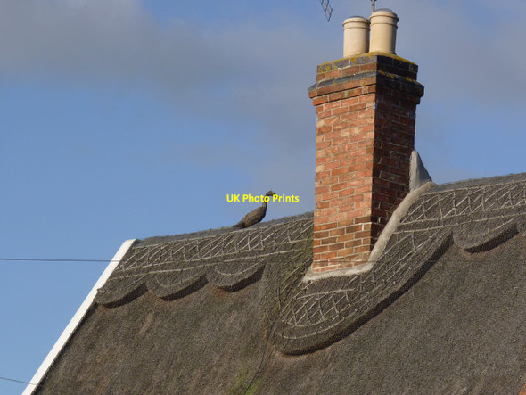 Photo 6"x4" Thatched ridge, No.80 Main Street, Queniborough Queniborough c2013