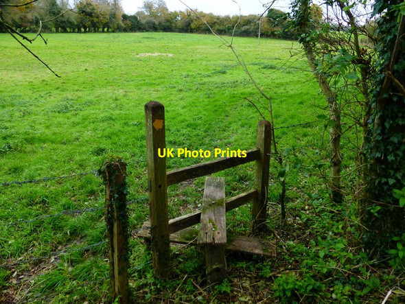 Photo 6"x4" Field path east of East Marden East Marden c2013