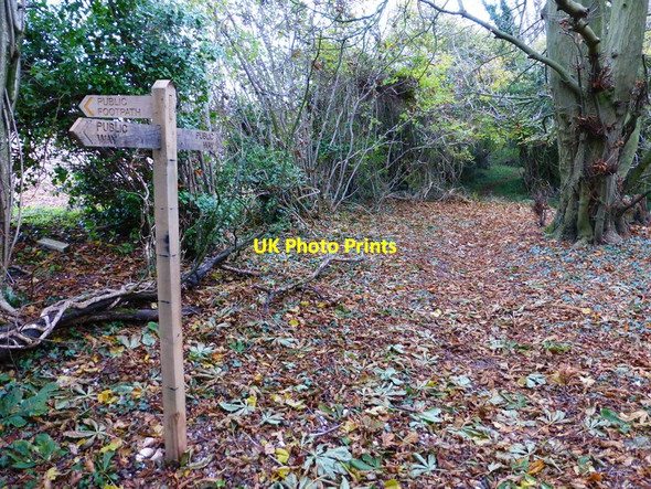 Photo 6"x4" Signpost on Long Lane at footpath crossing Hooksway c2013