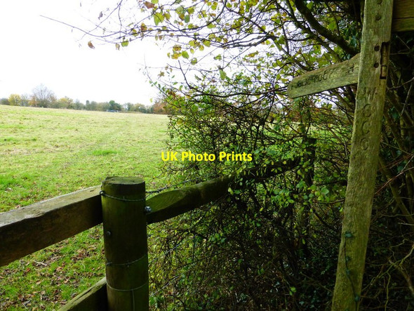 Photo 6"x4" Field path to the B2141 Hooksway c2013