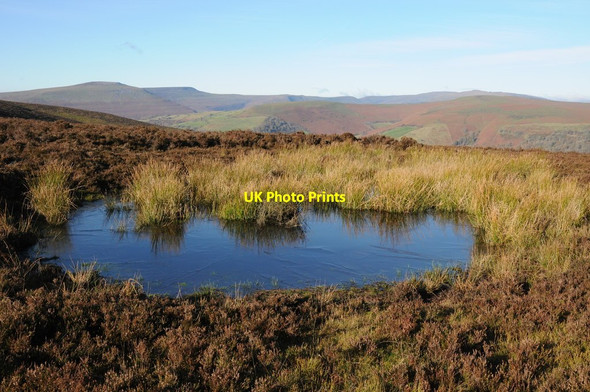 Photo 6"x4" Frozen pool on Sugar Loaf Forest Coal Pit c2013