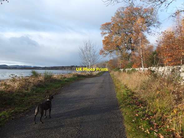 Photo 6"x4" Shore road, Redcastle Milton\/NH5849 c2013