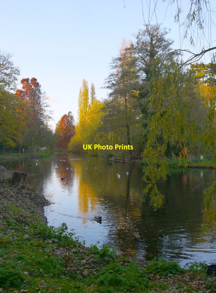 Photo 6"x4" The lake, Chiswick House Gardens, in November Chiswick c2013
