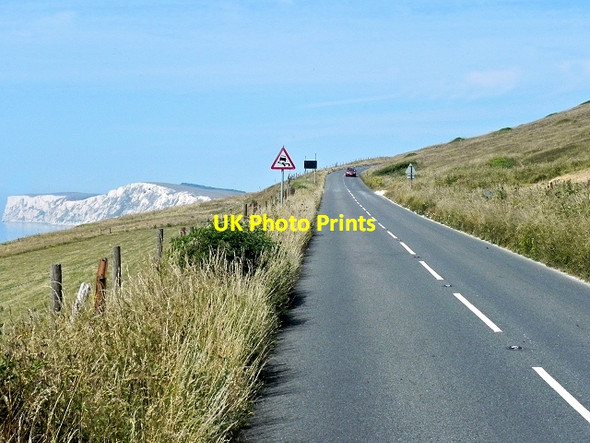 Photo 6"x4" Isle of Wight Military Road at Compton Down Freshwater Bay\/SZ3485 c2013
