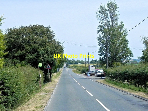 Photo 6"x4" Forest Road (A3054) Forest Side\/SZ4789 c2013