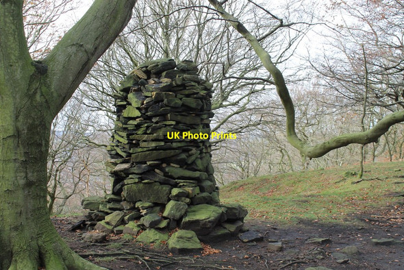 Photo 6"x4" Woods at Gosling Moor Finkle Street c2013