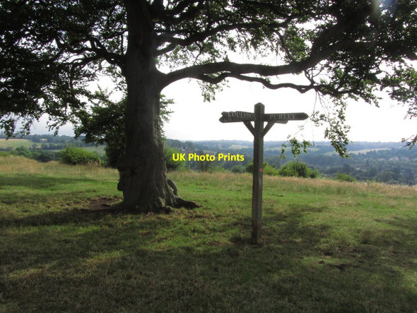 Photo 6"x4" Wooden way marker on Farthing Down near Coulsdon Coulsdon c2013