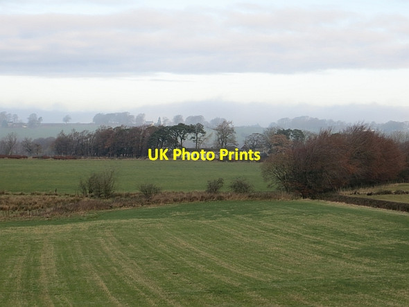 Photo 6"x4" Field, West Kype Sandford\/NS7143 c2013