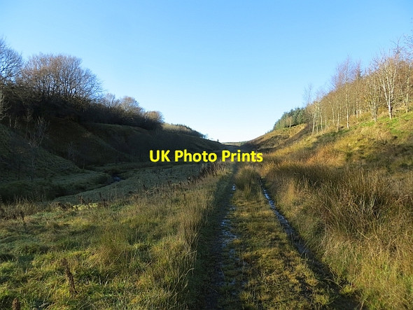 Photo 6"x4" Hareshaw Burn Hareshaw Burn\/NS7339 c2013