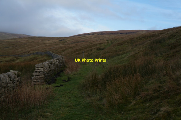 Photo 6"x4" Path towards Starbotton Out Moor Starbotton c2013